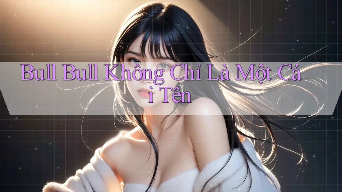 Bull Bull Không Chỉ Là Một Cái Tên