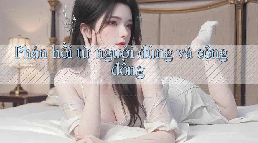 Phản hồi từ người dùng và cộng đồng