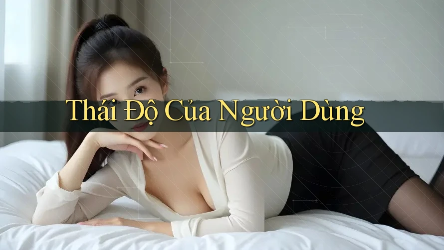 Thái Độ Của Người Dùng